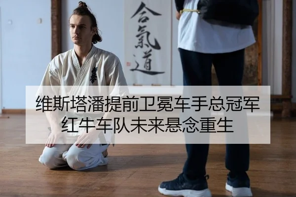 wei-si-ta-pan-ti-qian-wei-mian-che-shou-zong-guan-jun-hong-niu-che-dui-wei-lai-xuan-nian-chong-sheng-2-636.jpg